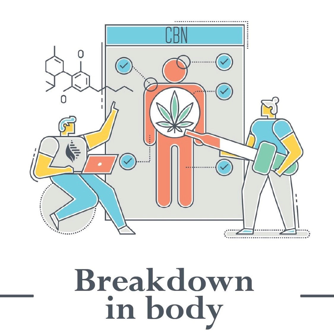 Sleep CBD Oil Drops for Sleep Support - 1200mg.