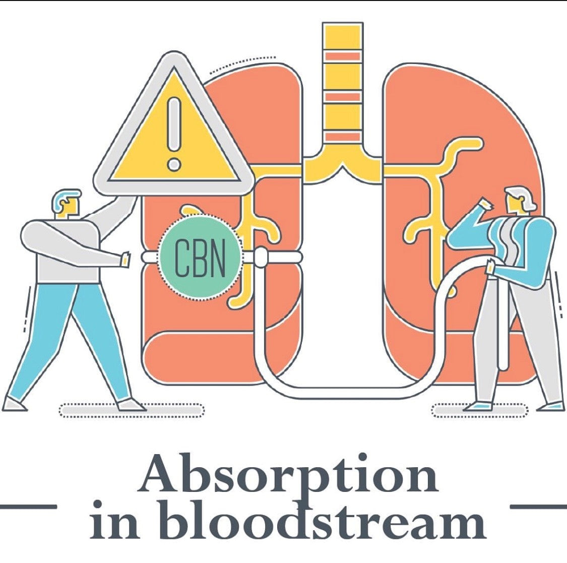 Sleep CBD Oil Drops for Sleep Support - 2000mg.