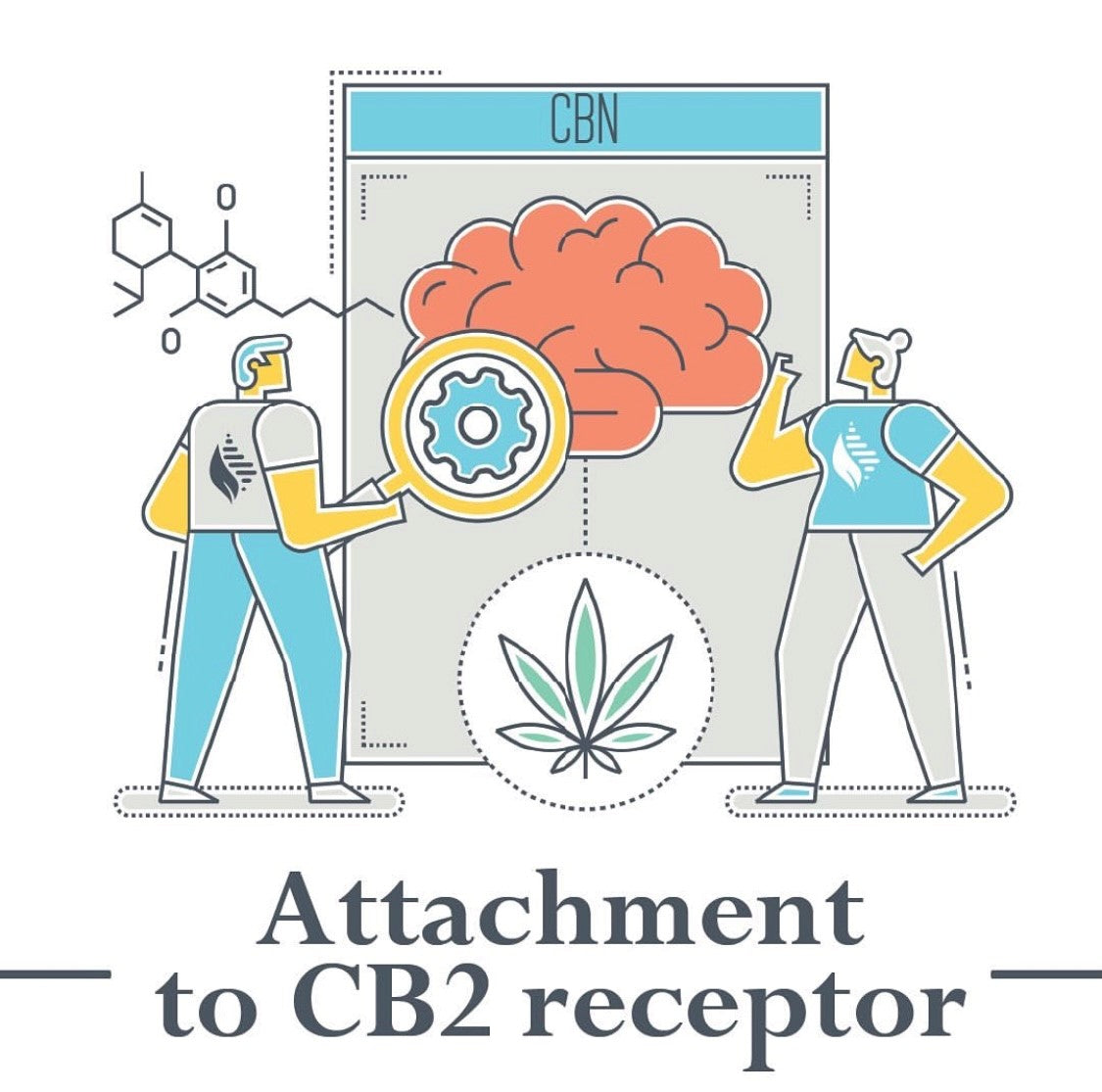 Sleep CBD Oil Drops for Sleep Support - 1200mg.