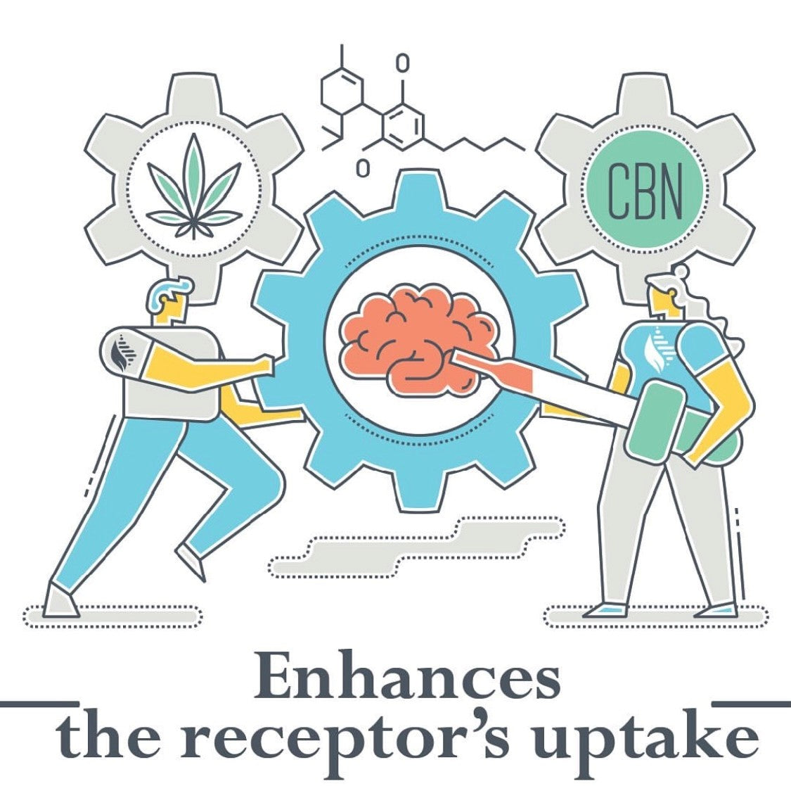 Sleep CBD Oil Drops for Sleep Support - 1200mg.