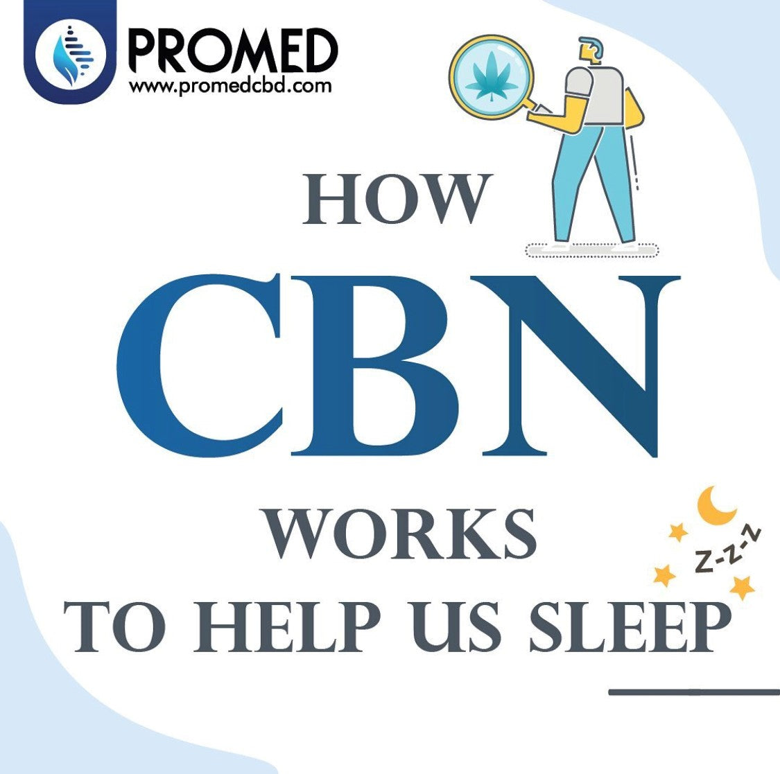 Sleep CBD Oil Drops for Sleep Support - 2000mg.